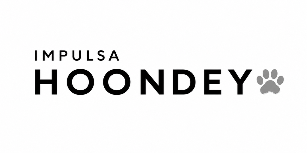 Impulsa HOONDEY y deja tu huella desde el inicio