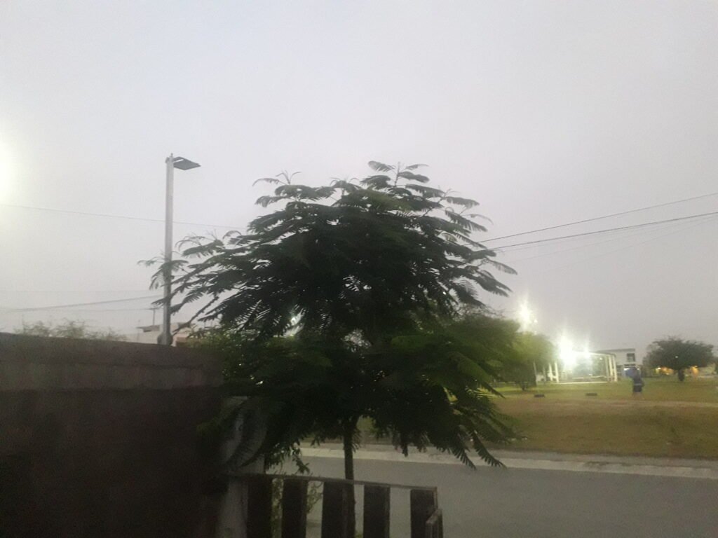 Día 1
